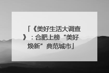 《美好生活大调查》：合肥上榜“美好焕新”典范城市