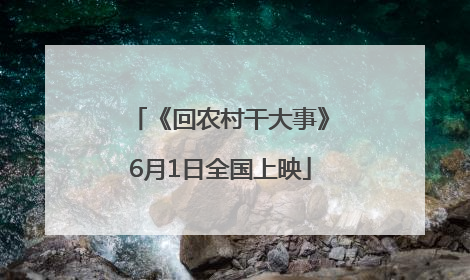 《回农村干大事》6月1日全国上映