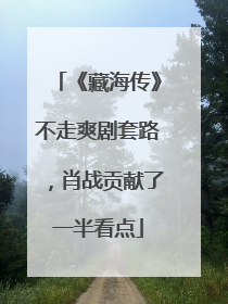 《藏海传》不走爽剧套路，肖战贡献了一半看点