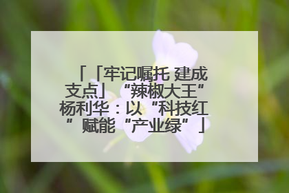 「牢记嘱托 建成支点」“辣椒大王”杨利华：以“科技红”赋能“产业绿”