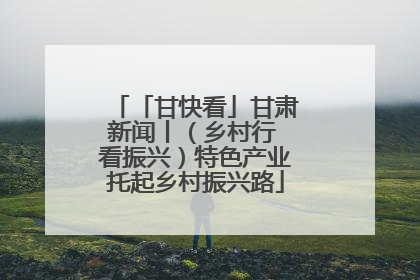 「甘快看」甘肃新闻丨（乡村行 看振兴）特色产业托起乡村振兴路