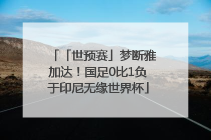 「世预赛」梦断雅加达！国足0比1负于印尼无缘世界杯