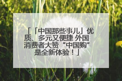 「中国那些事儿」优质、多元又便捷 外国消费者大赞“中国购”是全新体验！