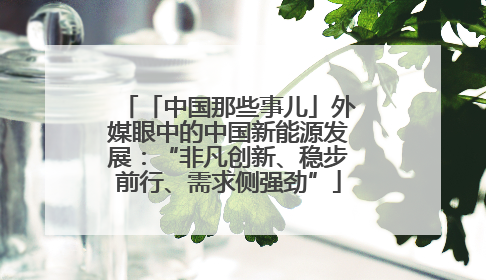 「中国那些事儿」外媒眼中的中国新能源发展：“非凡创新、稳步前行、需求侧强劲”