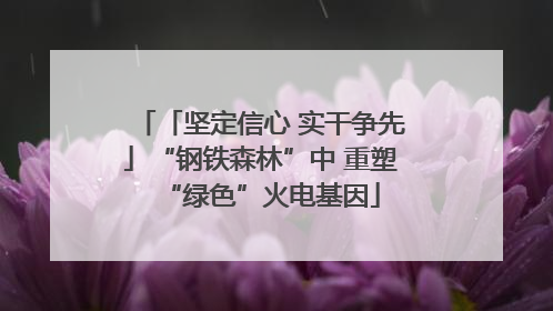 「坚定信心 实干争先」“钢铁森林”中 重塑“绿色”火电基因