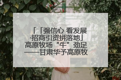 「强信心 看发展·招商引资拼落地」高原牧场“牛”劲足——甘肃华予高原牧场高标准奶牛肉牛养殖项目一线见闻
