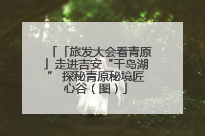 「旅发大会看青原」走进吉安“千岛湖” 探秘青原秘境匠心谷（图）