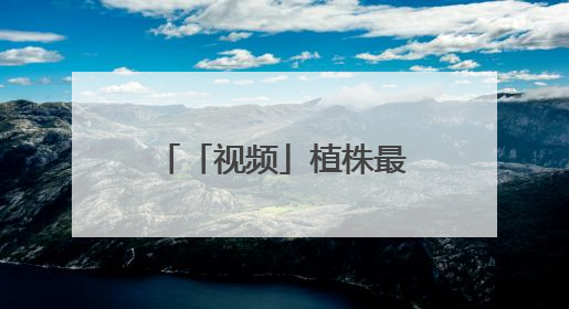 「视频」植株最高达3米！云南龙陵发现万株野生云南大百合