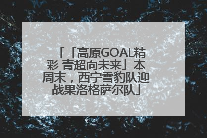 「高原GOAL精彩 青超向未来」本周末，西宁雪豹队迎战果洛格萨尔队