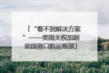 “看不到解决方案”——美国关税加剧德国港口航运瓶颈