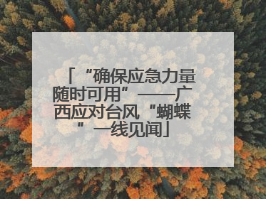 “确保应急力量随时可用”——广西应对台风“蝴蝶”一线见闻