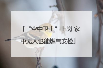 “空中卫士”上岗 家中无人也能燃气安检