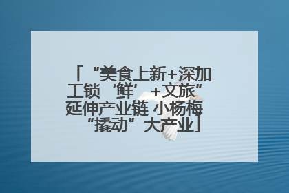 “美食上新+深加工锁‘鲜’+文旅”延伸产业链 小杨梅“撬动”大产业