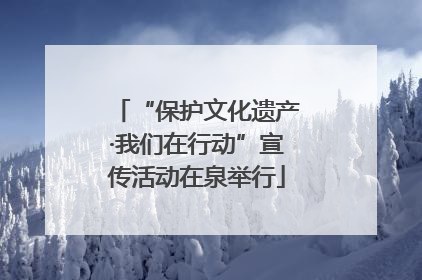 “保护文化遗产·我们在行动”宣传活动在泉举行