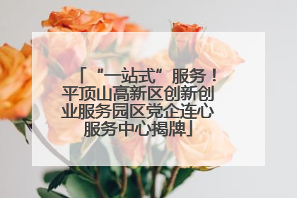 “一站式”服务！平顶山高新区创新创业服务园区党企连心服务中心揭牌