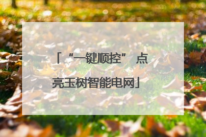 “一键顺控” 点亮玉树智能电网