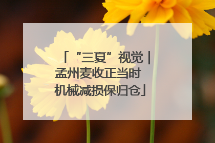 “三夏”视觉｜孟州麦收正当时 机械减损保归仓