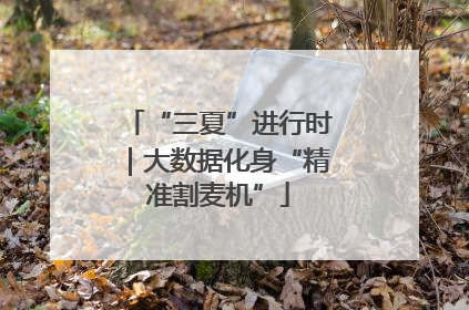 “三夏”进行时｜大数据化身“精准割麦机”