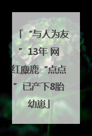 “与人为友”13年 网红麋鹿“点点”已产下8胎幼崽