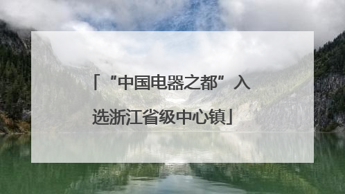 “中国电器之都”入选浙江省级中心镇