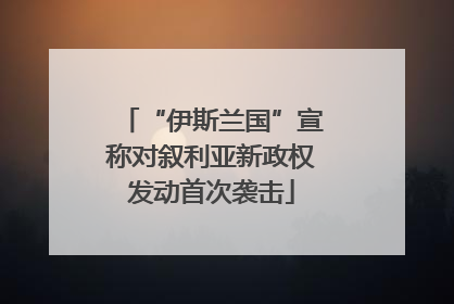 “伊斯兰国”宣称对叙利亚新政权发动首次袭击