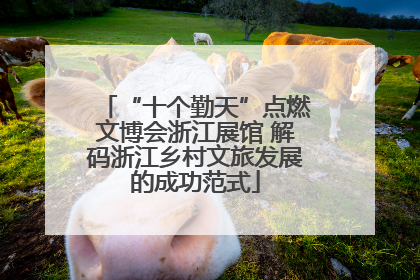 “十个勤天”点燃文博会浙江展馆 解码浙江乡村文旅发展的成功范式