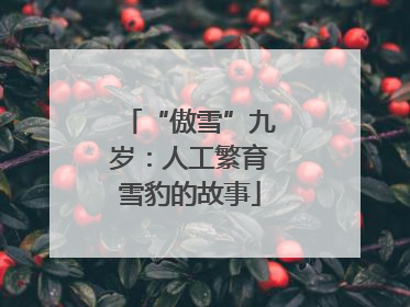 “傲雪”九岁：人工繁育雪豹的故事