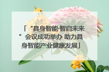 “具身智能·智启未来”会议成功举办 助力具身智能产业健康发展