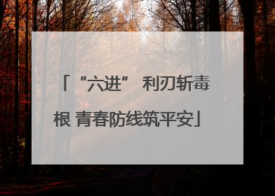 “六进” 利刃斩毒根 青春防线筑平安