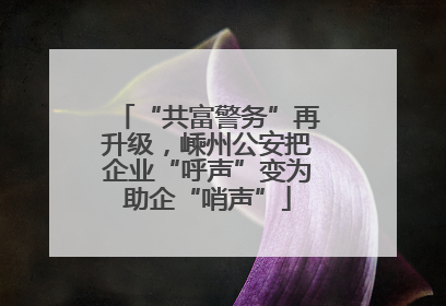 “共富警务”再升级，嵊州公安把企业“呼声”变为助企“哨声”