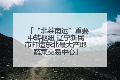 “北菜南运”重要中转枢纽 辽宁新民市打造东北最大产地蔬菜交易中心