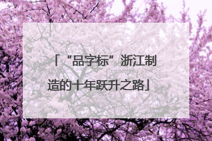 “品字标”浙江制造的十年跃升之路