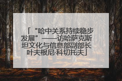 “哈中关系持续稳步发展”——访哈萨克斯坦文化与信息部副部长叶夫根尼·科切托夫
