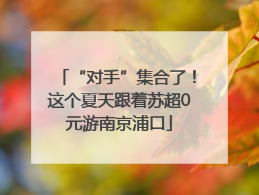 “对手”集合了！这个夏天跟着苏超0元游南京浦口
