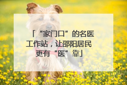 “家门口”的名医工作站，让邵阳居民更有“医”靠