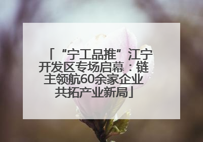 “宁工品推”江宁开发区专场启幕：链主领航60余家企业共拓产业新局