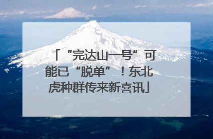 “完达山一号”可能已“脱单”！东北虎种群传来新喜讯