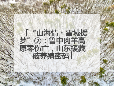 “山海情・雪域援梦”②：鲁中肉羊高原零伤亡，山东援藏破养殖密码
