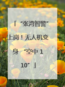 “张湾智警”上岗！无人机变身 “空中 110”