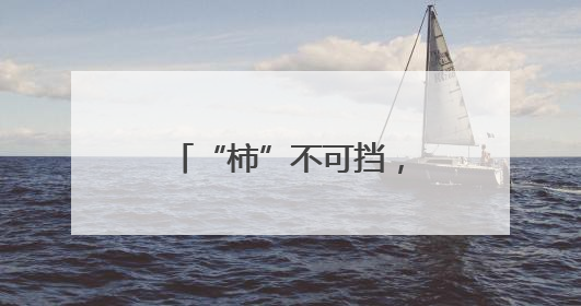 “柿”不可挡，“粽”望所归！徐汇校园用仪式感为少年们“充能”
