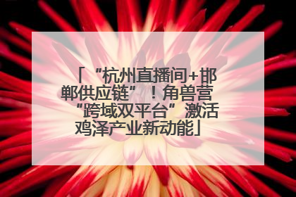 “杭州直播间+邯郸供应链”！角兽营“跨域双平台”激活鸡泽产业新动能