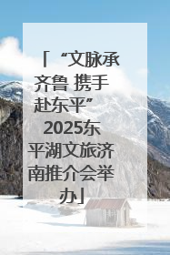 “文脉承齐鲁 携手赴东平” 2025东平湖文旅济南推介会举办