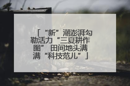 “新”潮澎湃勾勒活力“三夏耕作图” 田间地头满满“科技范儿”