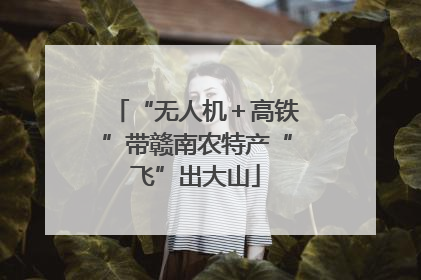 “无人机＋高铁”带赣南农特产“飞”出大山