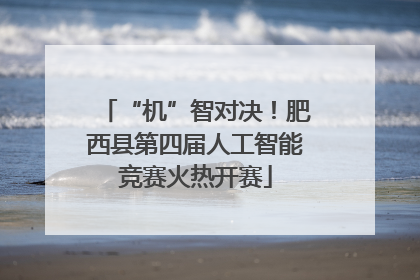“机”智对决！肥西县第四届人工智能竞赛火热开赛