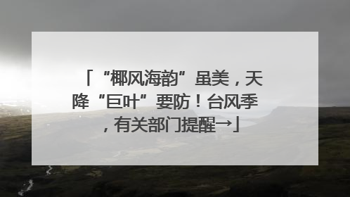 “椰风海韵”虽美，天降“巨叶”要防！台风季，有关部门提醒→