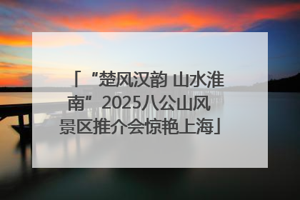 “楚风汉韵 山水淮南”2025八公山风景区推介会惊艳上海
