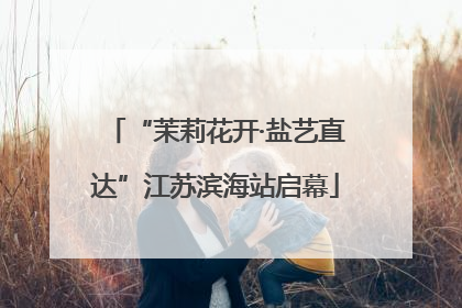 “茉莉花开·盐艺直达”江苏滨海站启幕