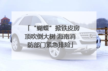 “蝴蝶”掀铁皮房顶吹倒大树 海南消防部门紧急排险