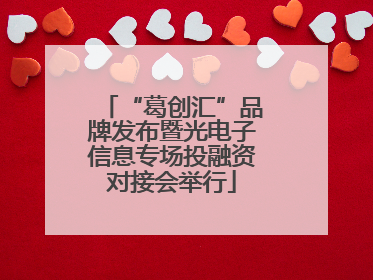 “葛创汇”品牌发布暨光电子信息专场投融资对接会举行